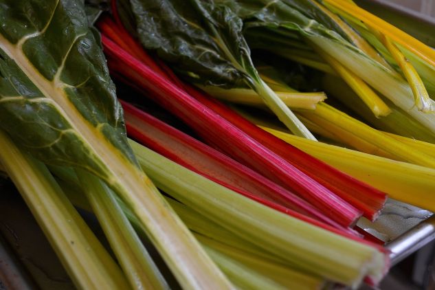 Rainbow Chard 2