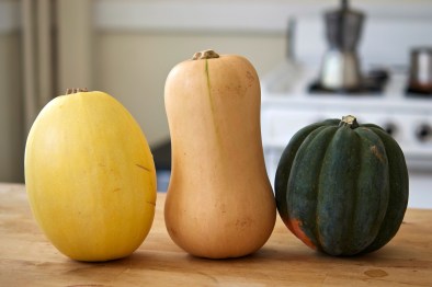 Winter Squash