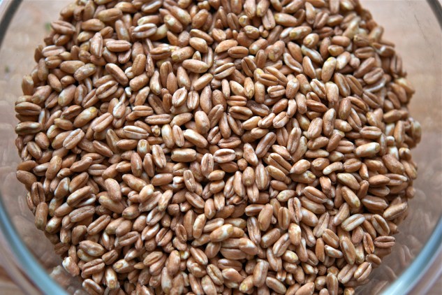 Vegetable Farro Salad 5