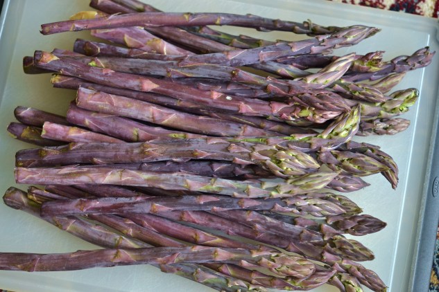 Asparagus_1